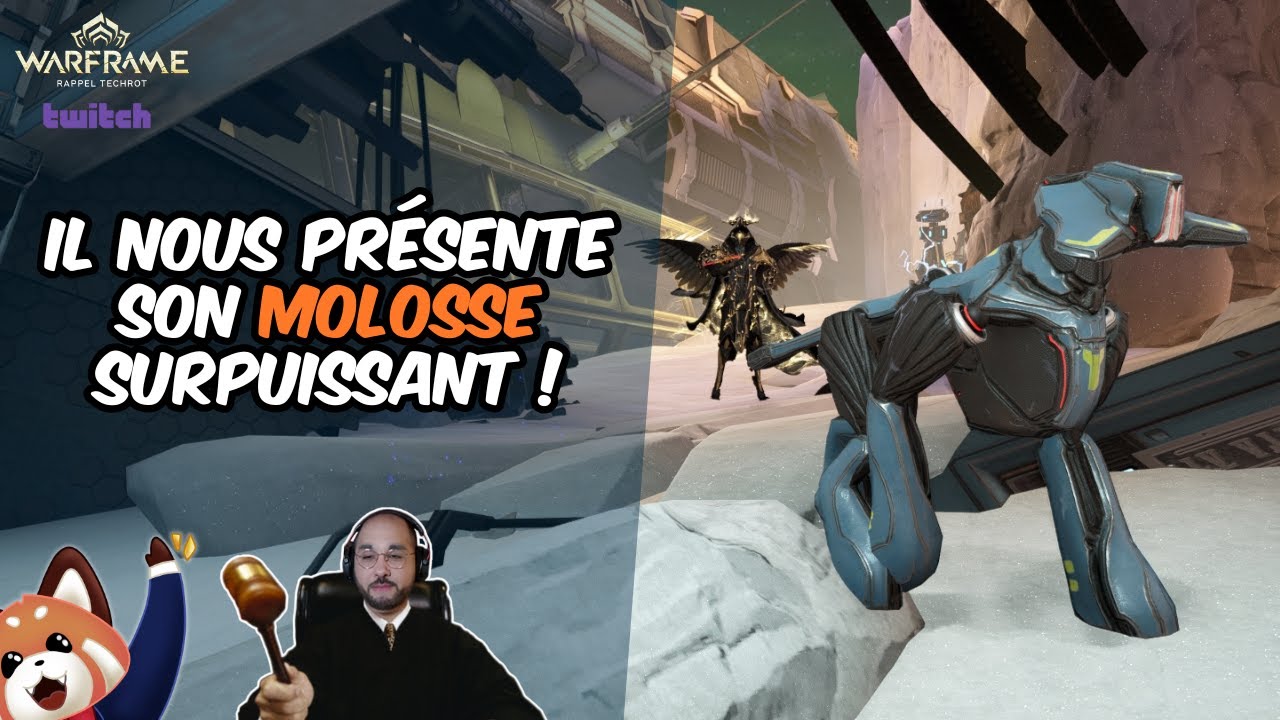 Il nous présente son Molosse surpuissant !