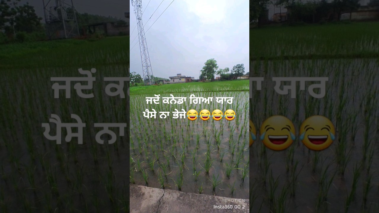 #mrmrsgills#sadapunjab#thepunjab#canada#studentcanada