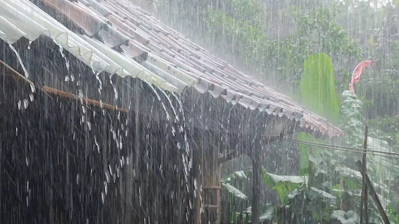 PURE RAIN Sounds at Night – Deep Relaxation & Sleep in Minutes