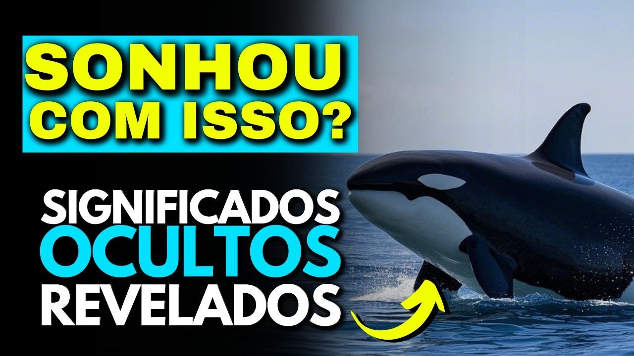 💀 SONHO COM BALEIA | O Que Significa Sonhar Com Baleia? 🛑ATEN&Ccedil;&Atilde;O NESTE SONHO!