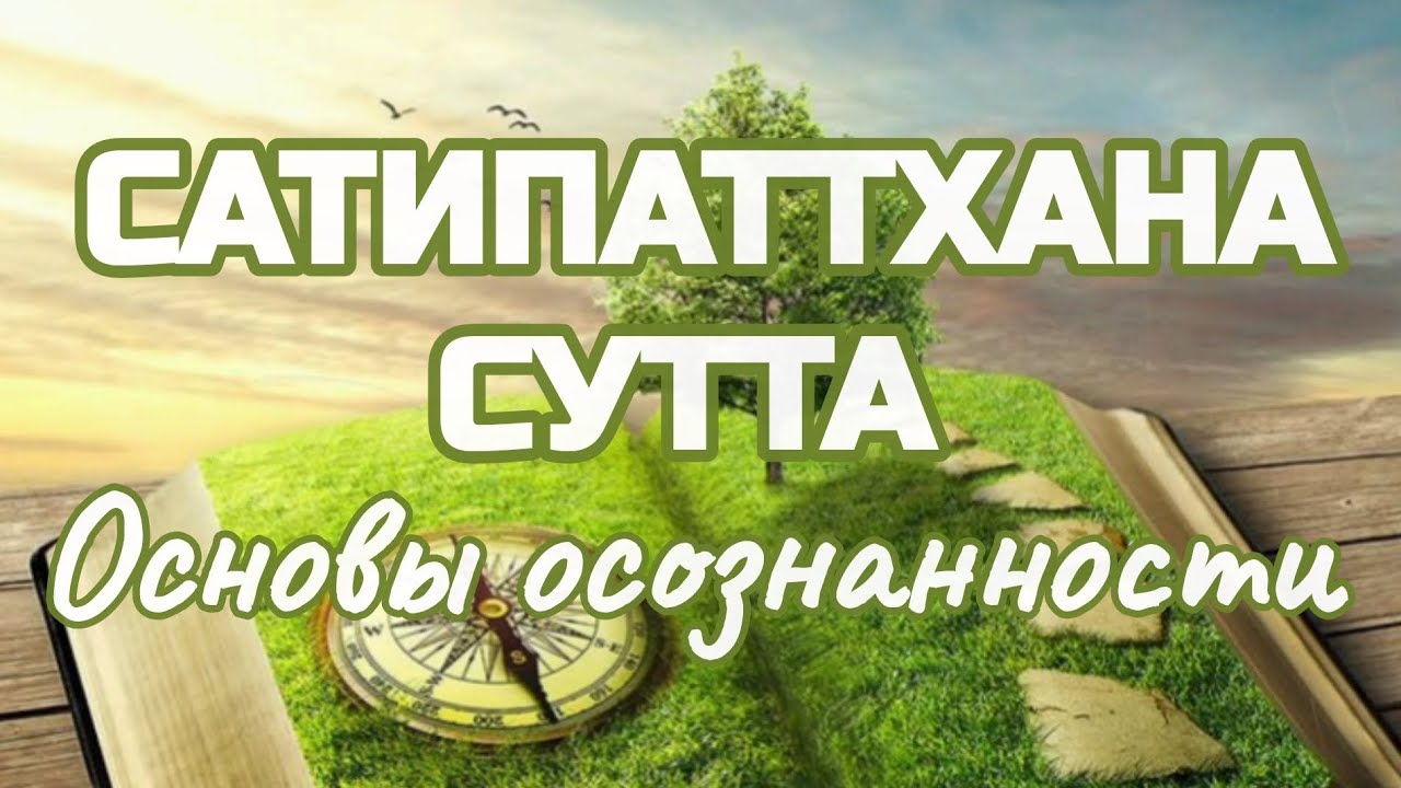 ОСНОВЫ ОСОЗНАННОСТИ |  Палийский Канон | Сатипаттхана сутта