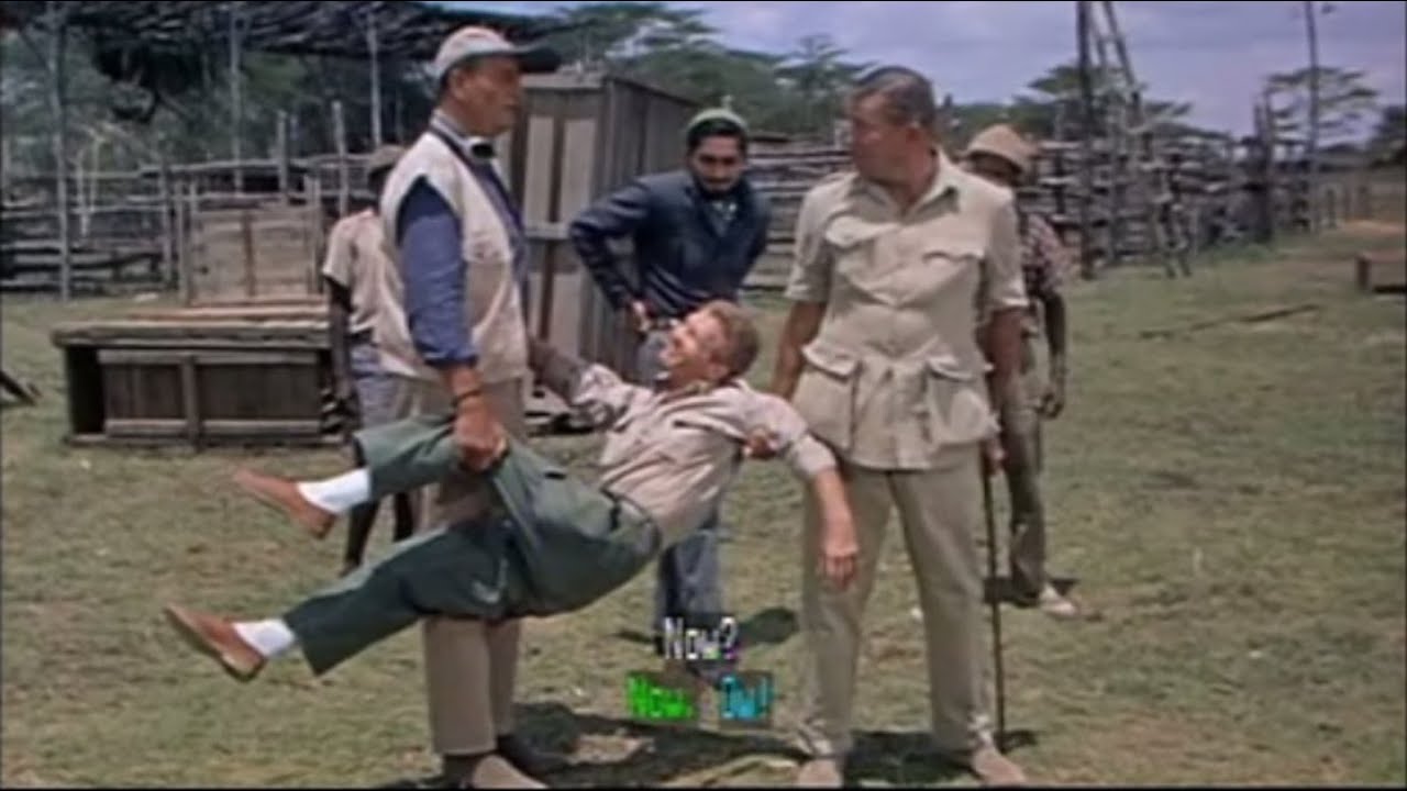 Hatari!   Don't fall in with those buffalo!   with English subtitles
