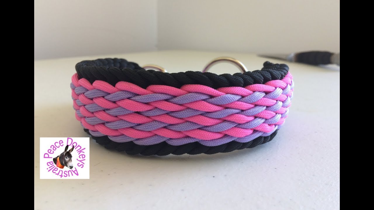 Инструкция по изготовлению ошейника для собак Wavy Falls Paracord