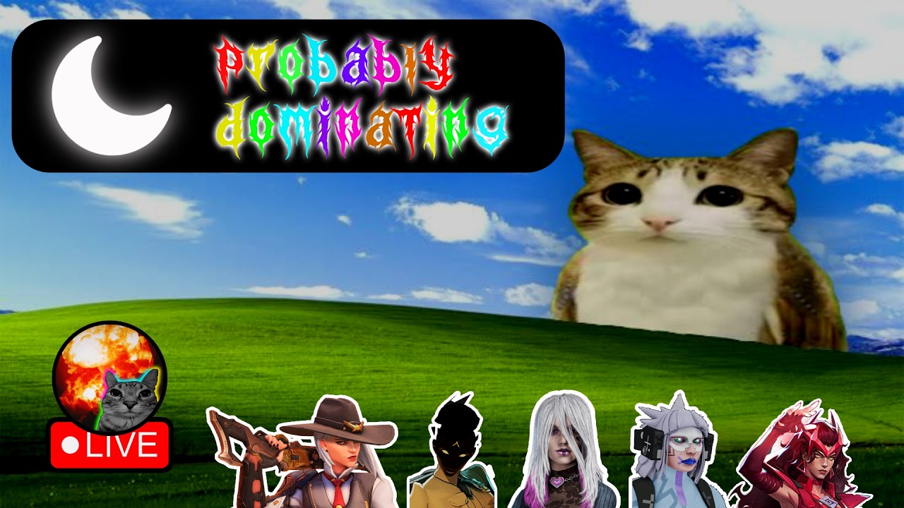 LIVE 🔴 donothon! Top500 dps too i Guess...