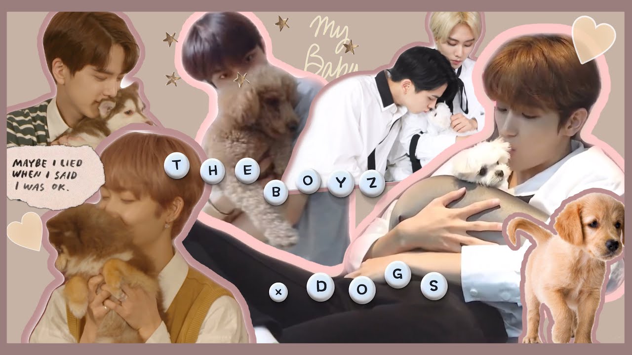 ［ドボイズと犬まとめ］神様、来世はイケメンに飼われる犬でお願いします［THE BOYZ/더보이즈］