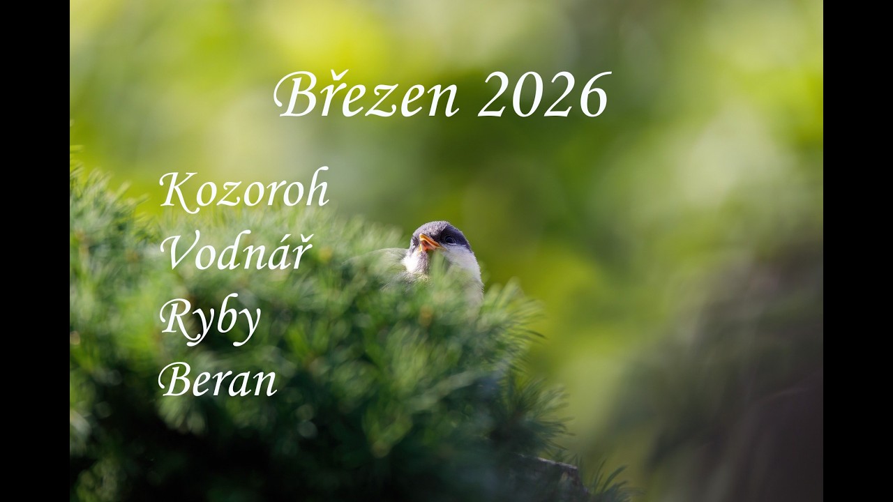 BŘEZEN🦋Kozoroh-Vodnář-Ryby-Beran♑♒♓♈#tarot#january#2026#capricorn💫@cestamiksoběvýkladykaret