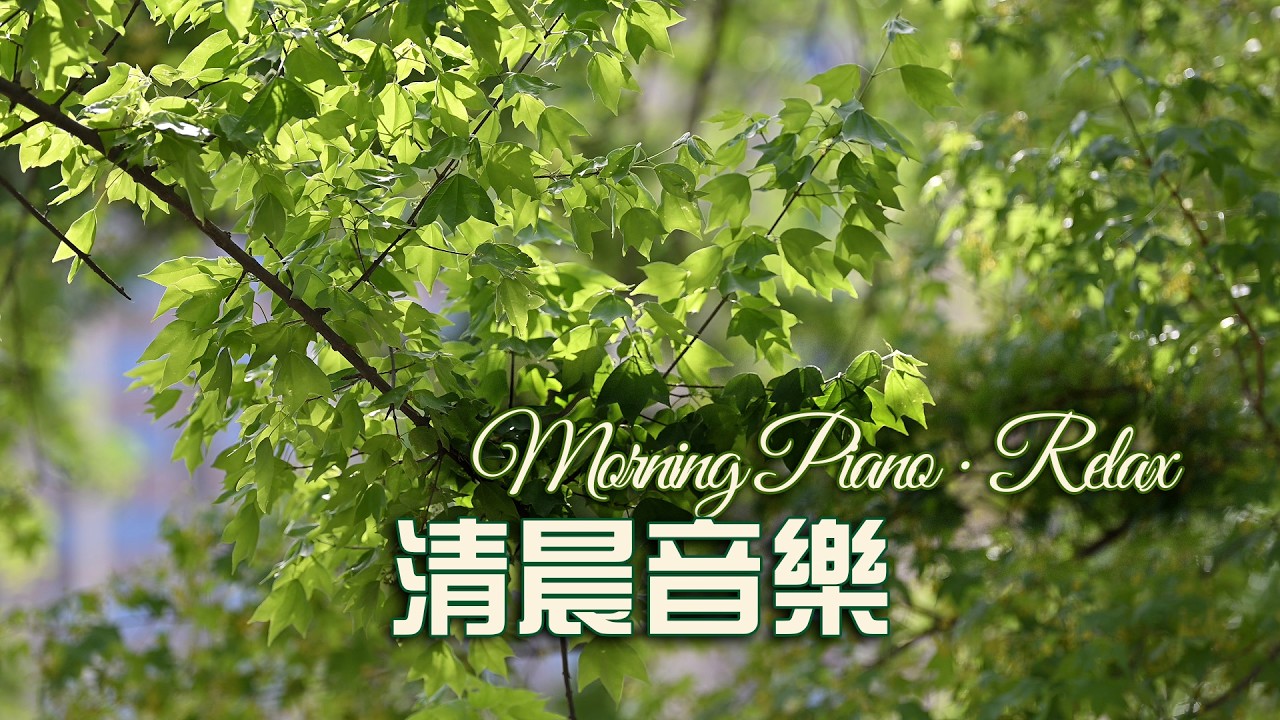 晨間獨處輕音樂｜4K花朵綠葉療癒風景 + 柔和鋼琴曲 1小時 Morning Solitude #music #relaxing #放松 #冥想 #睡眠 #轻音乐