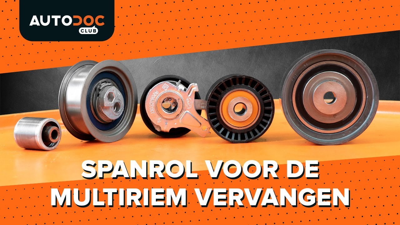 Hoe een spanrol voor de multiriem te vervangen [HANDLEIDING AUTODOC]