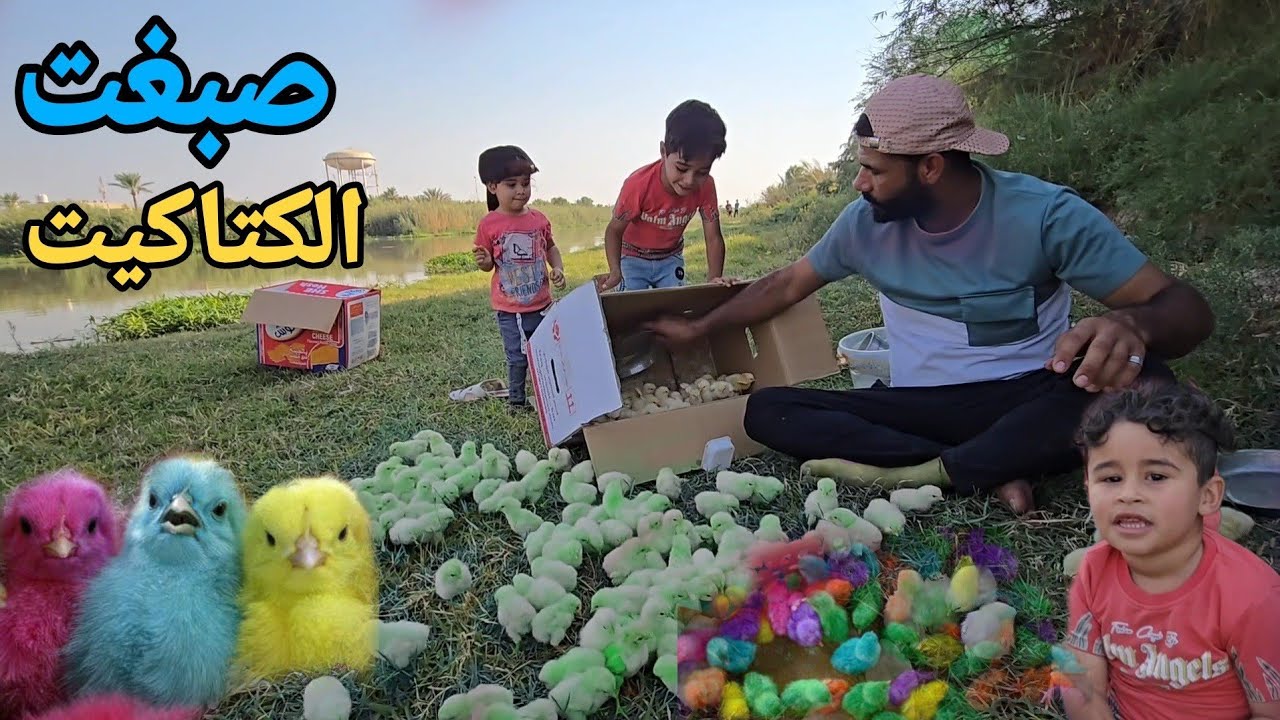 صبغت الكتاكيت اللوان اني وايليا وعبيس والكوري |شوفو شلون تغير شكلهن |😍(الجزء3)