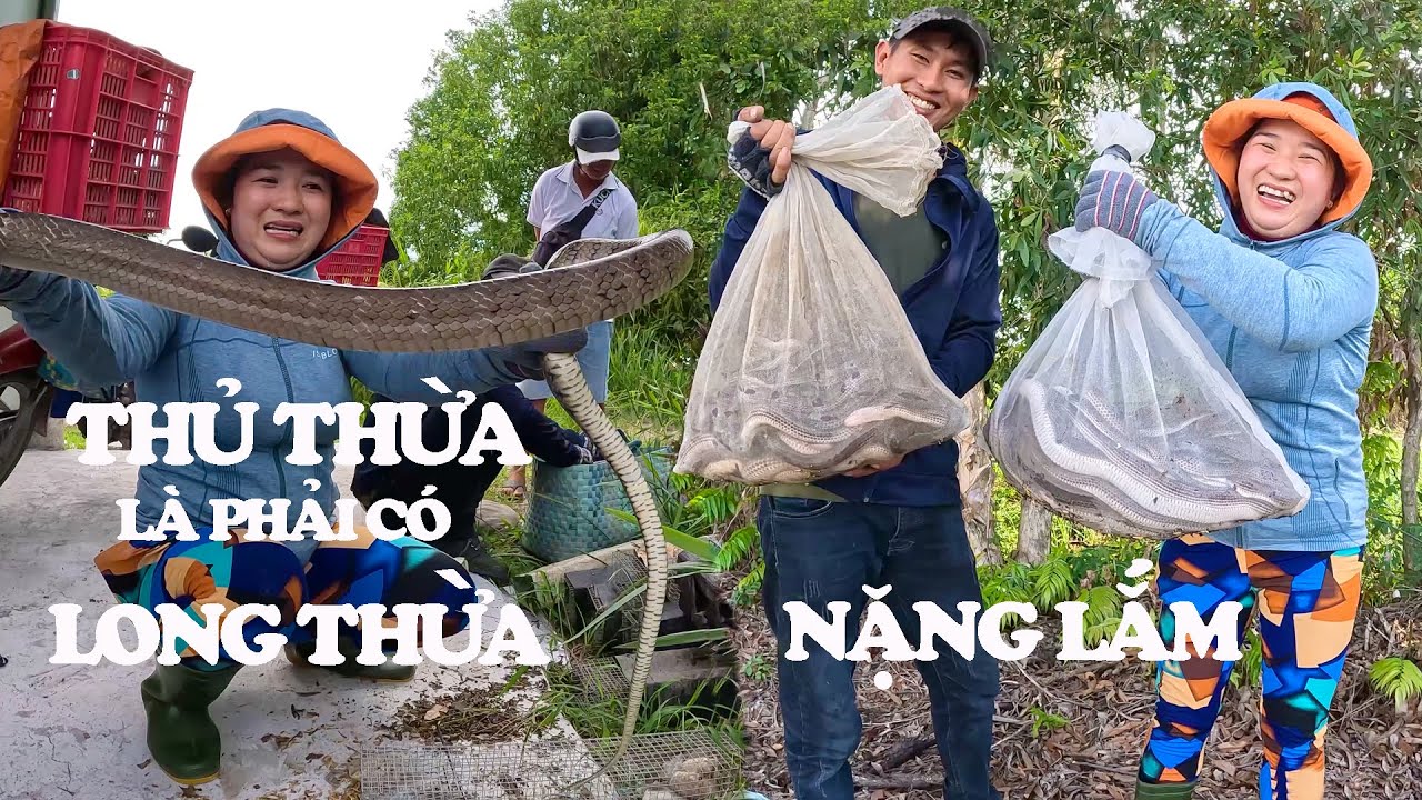 Trúng Rắn Kinh Khủng Sau Những Ngày Mưa l CSBR l 254
