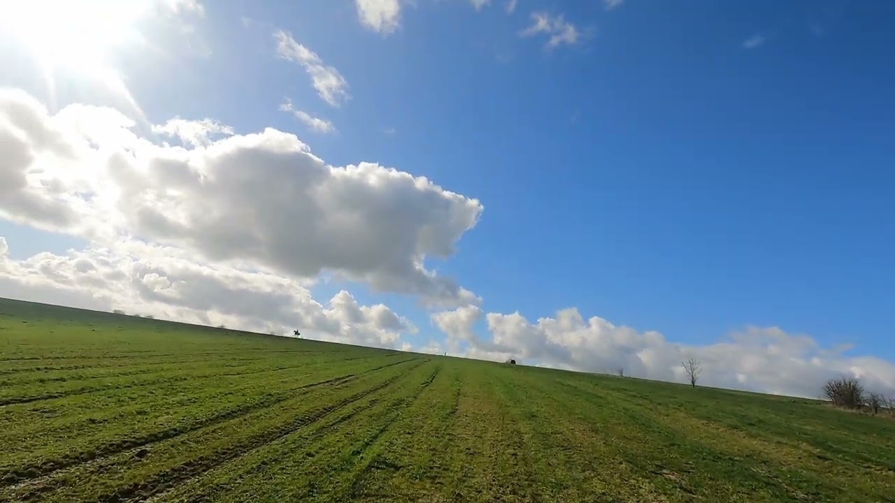 Pear Tree Hill Canters