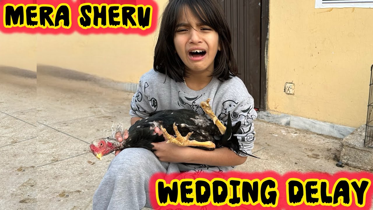 Sheru Ko Kya Ho Gaya 😭