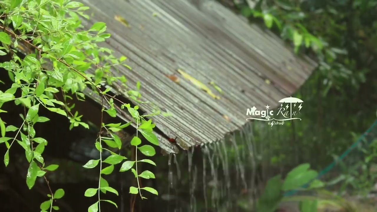 เสียงฝนตกบนหลังคาสังกะสี 5 ชม | หลับลึก ผ่อนคลาย ไม่มีโฆษณา | Tin Roof Rain Sounds for Deep Sleep