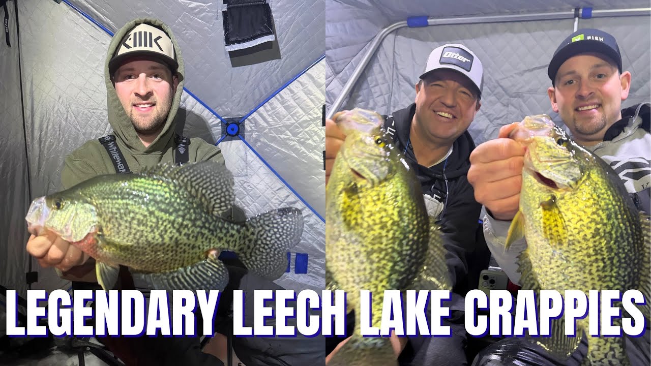 Legendary Leech Lake Crappies | Dialed In Angling