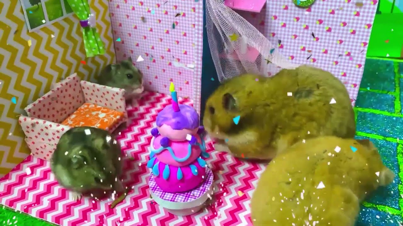 Sleepless tonight, little Hamster birthday party