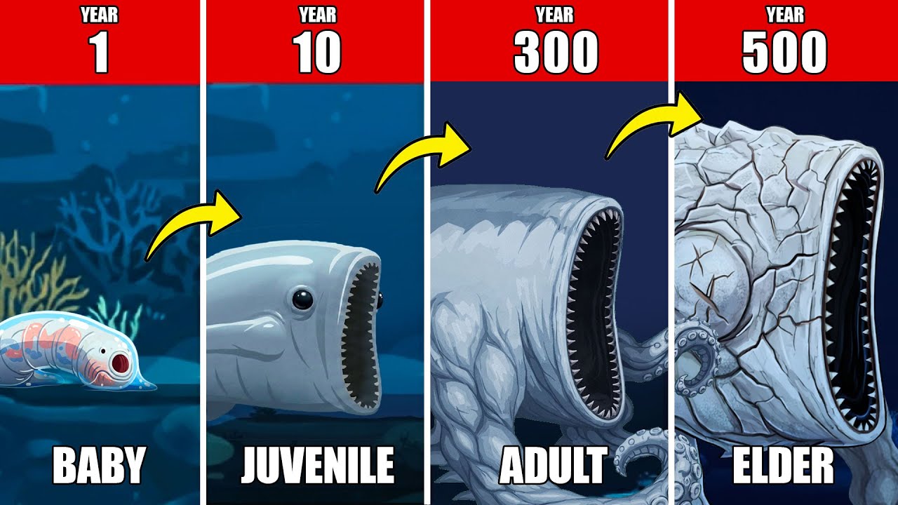 500 Years of Sea Eater Life Documentary: What Was the Sea Eater’s Life Like?