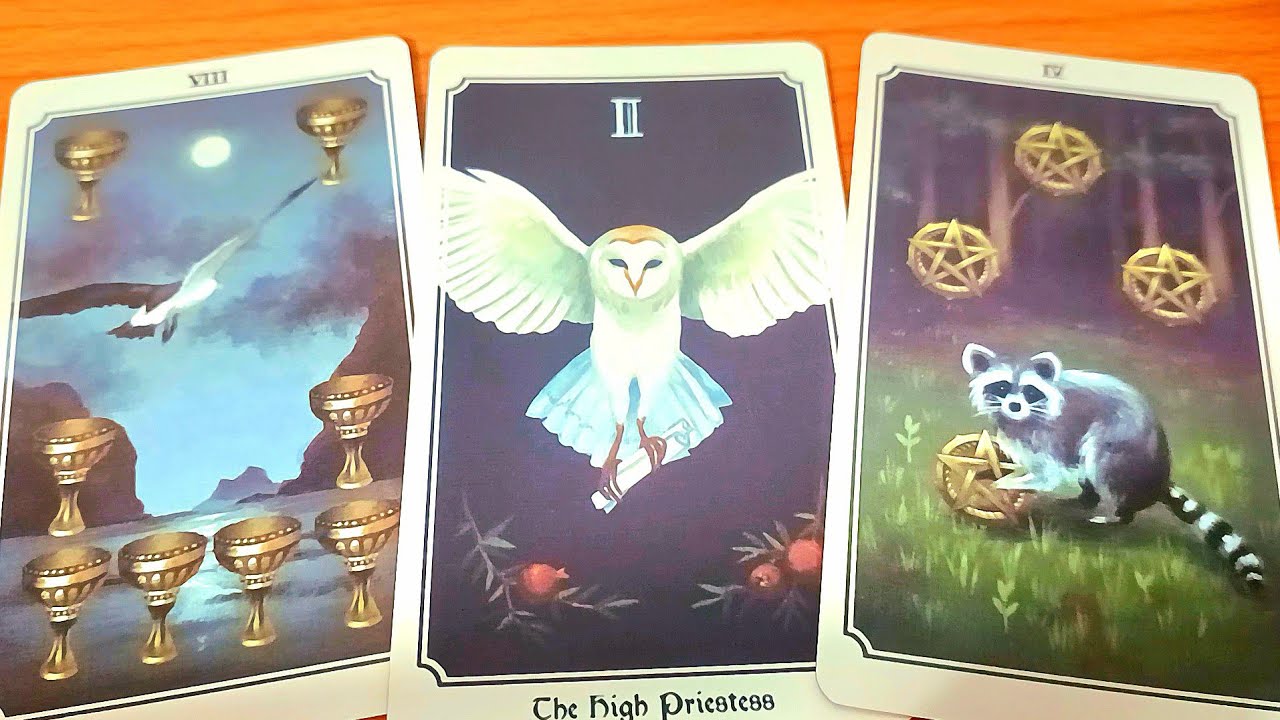 MUỐN GẶP LẠI / TAROT READING