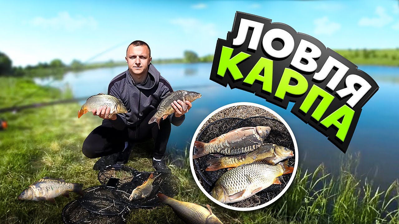 Ловля карпа на ФЛЕТ-ФІДЕР! КАРП клює як дурний!