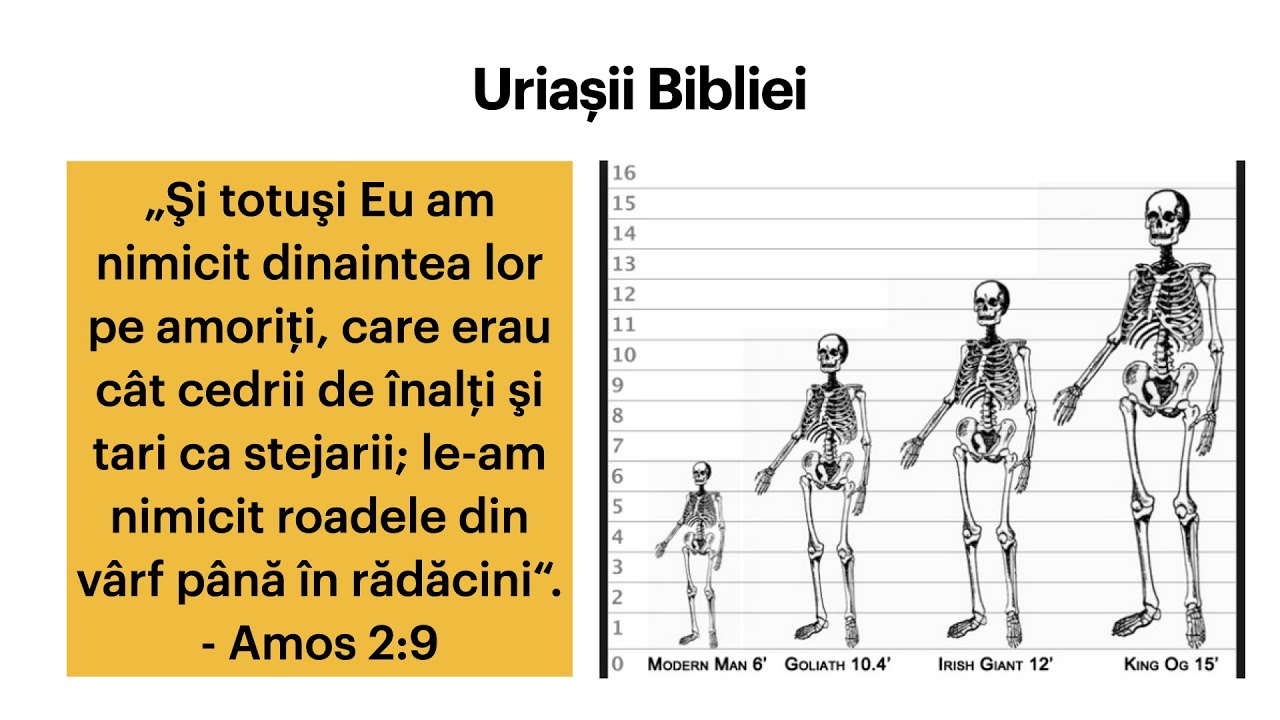 Daniel Brânzei: Uriașii strict necesari