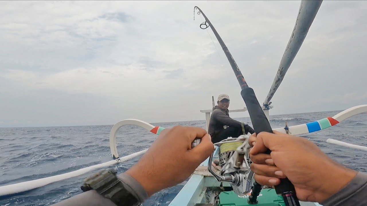 AKROBATIK ‼️ SALAH SATU CIRI TARIKAN IKAN MAHI MAHI ‼️PART 2 #311 