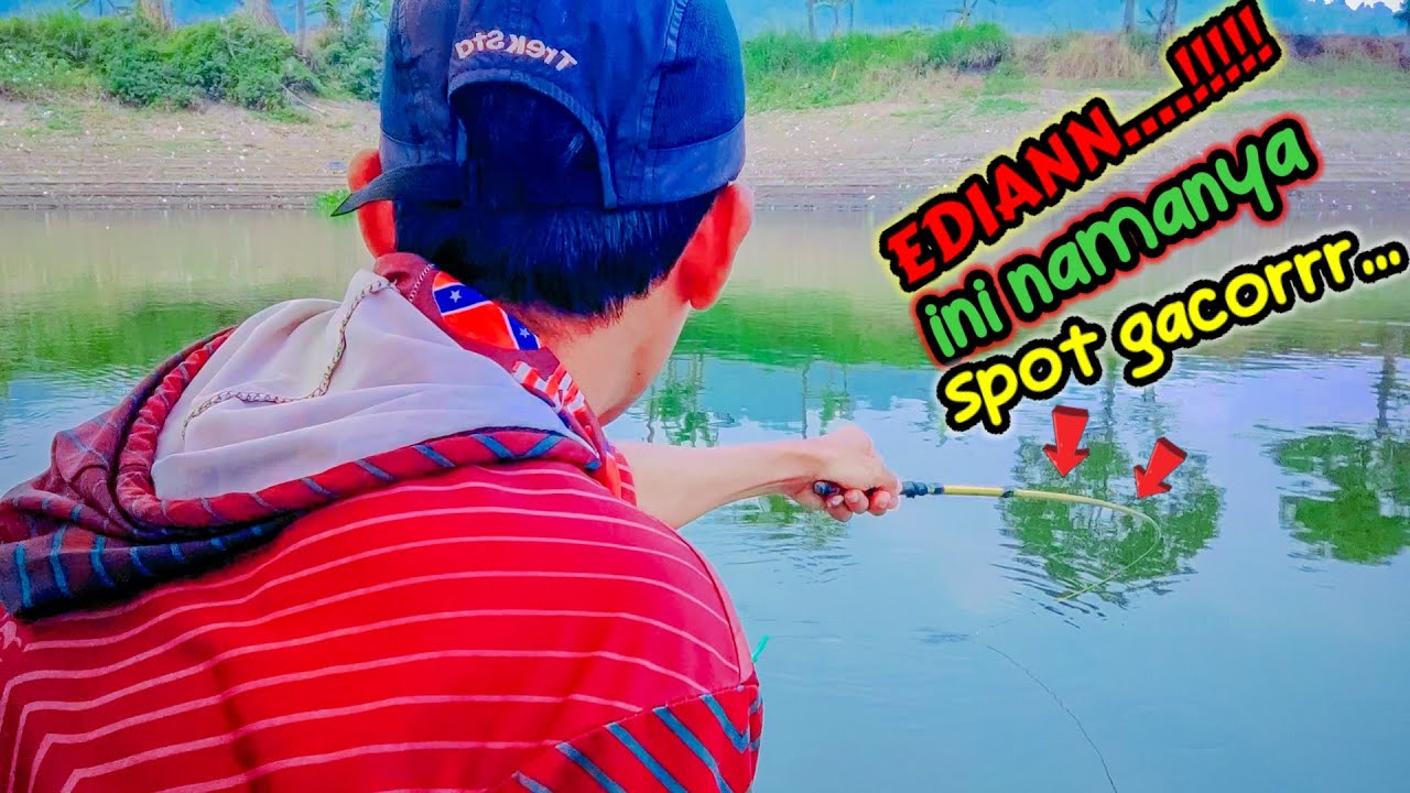 MUSIM PANEN IKAN TIBA‼️SAAT AIR WADUK SELOREJO NGANTANG SEMAKIN SURUT..