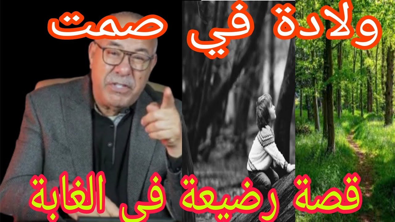قصة رضيع في الغابة قصة مثيرة تستحق مشاهدة 