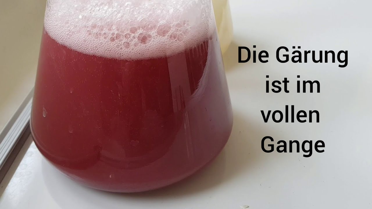 Die Alkoholische G&auml;rung