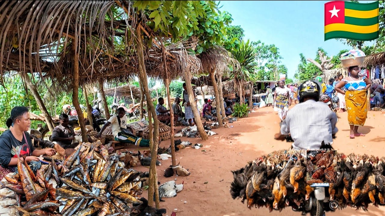 Rural village market day in Togo west Africa 🇹🇬. Cost  of organic food in my African village
