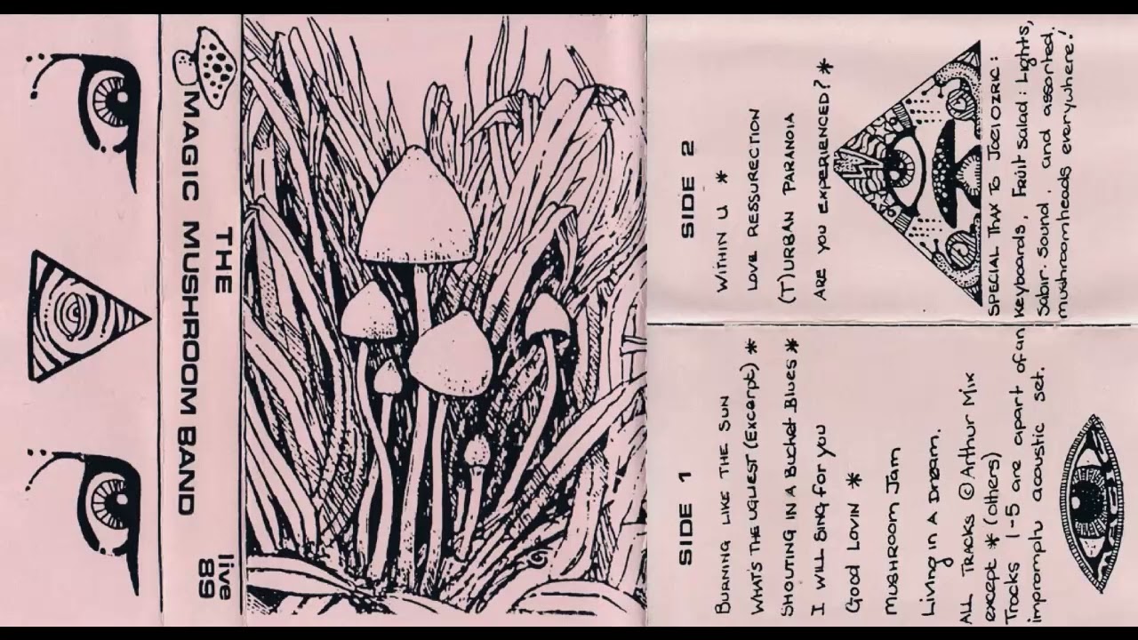 Magic Mushroom Band - Live '89