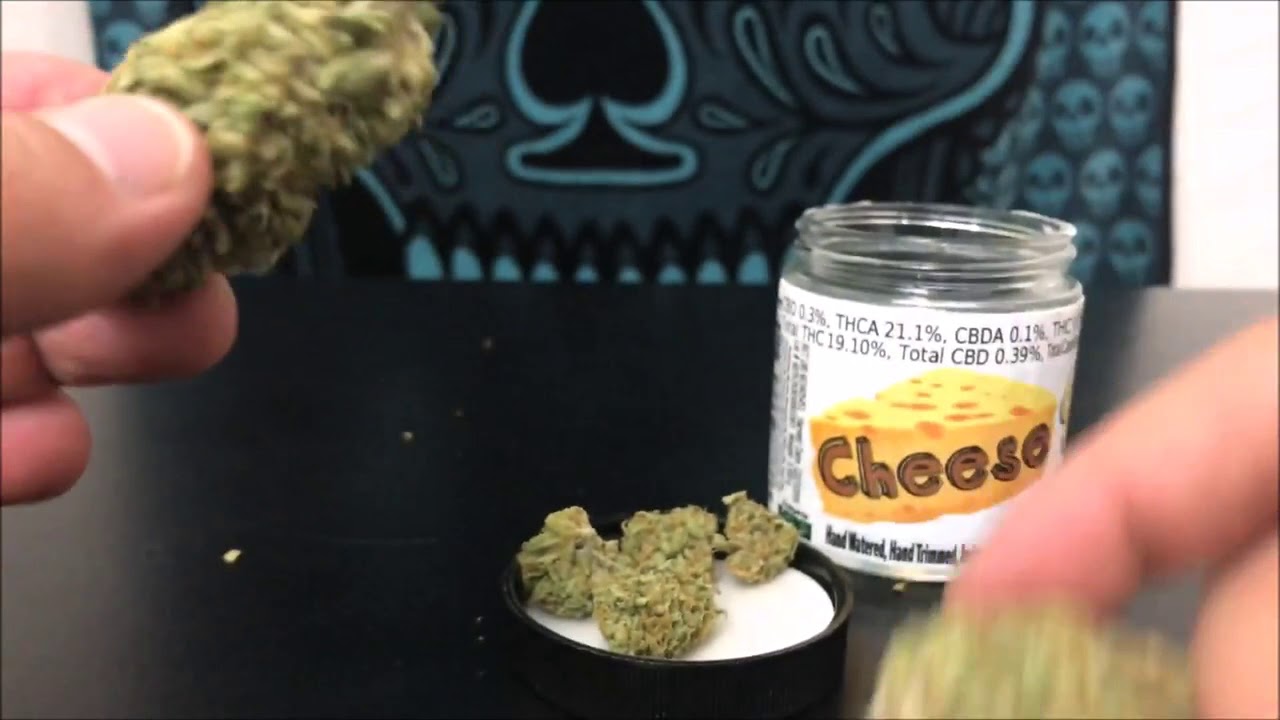 Cheese By BudCo Recreational Cannabis Review qw6qE2CefSs