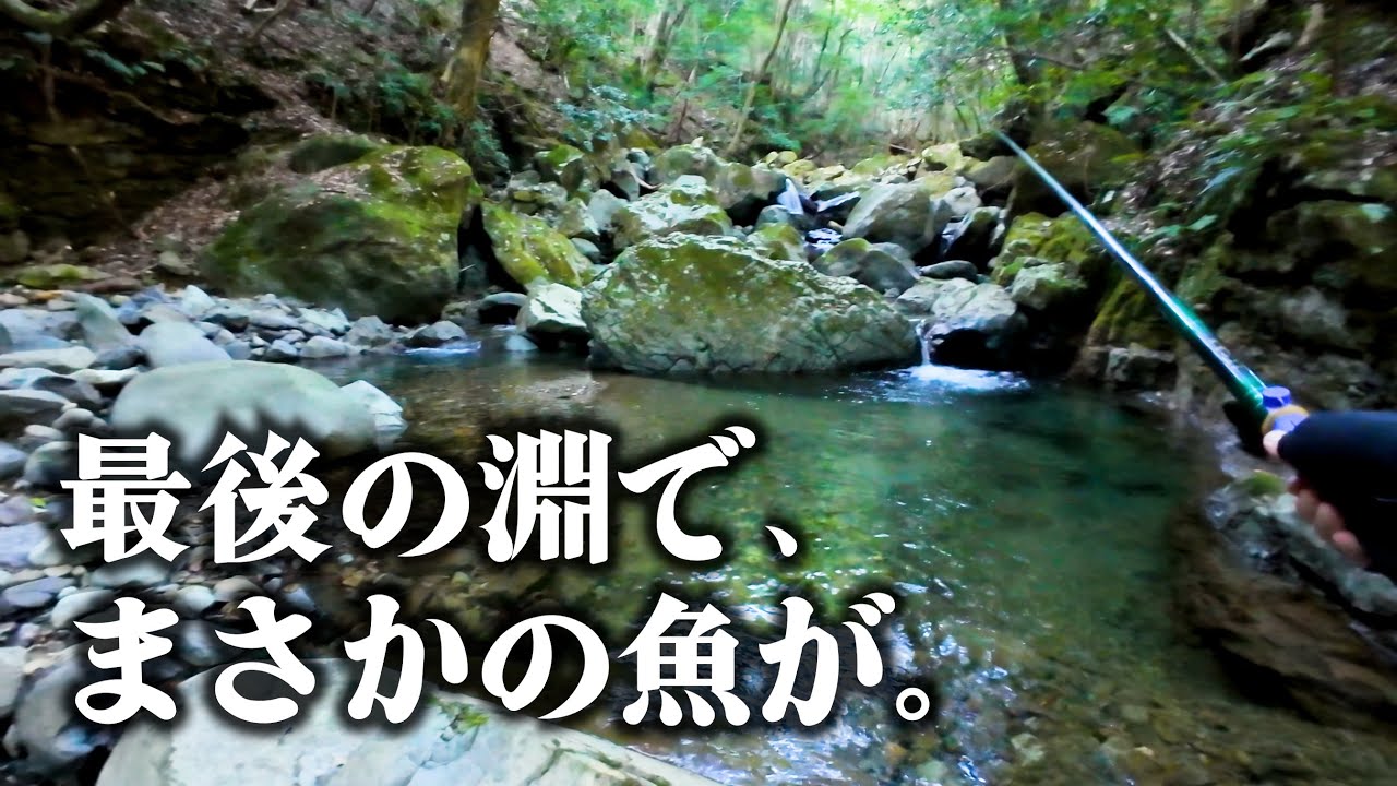 10月末、渓流の釣り納め。最後の一匹はまさかの魚でした【渓流釣り】