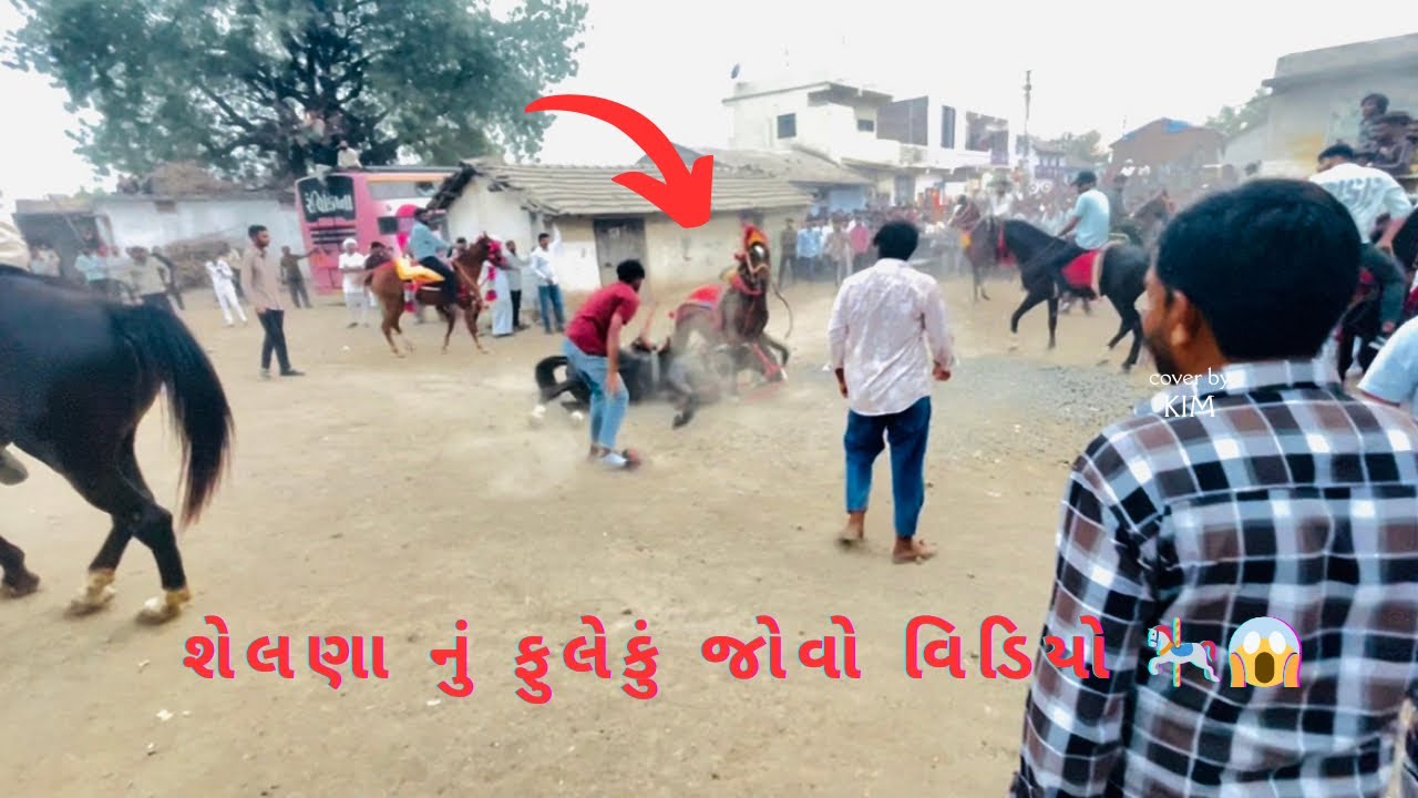 શેલણા નું ફૂંલેકુ જોવો વિડિયો ?😱  Part-1