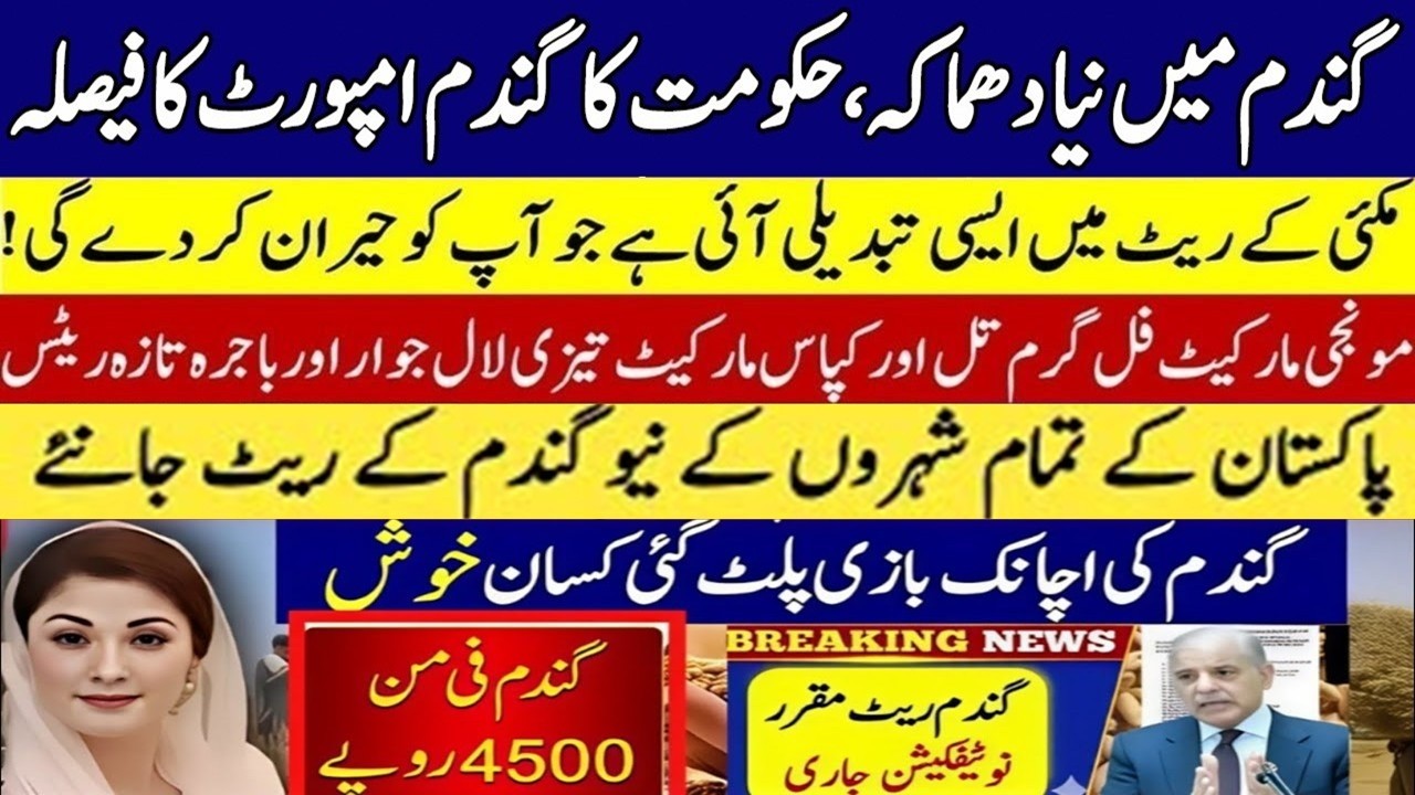 Today Wheat price in punjab | گندم کا ریٹ2026 | munji makki till sarso | Galla mandi rate today 2026