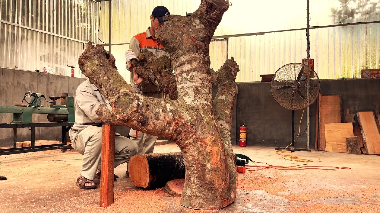 How To Make A Super Sturdy Table With Legs Made From A Super Large Lychee Tree Stump