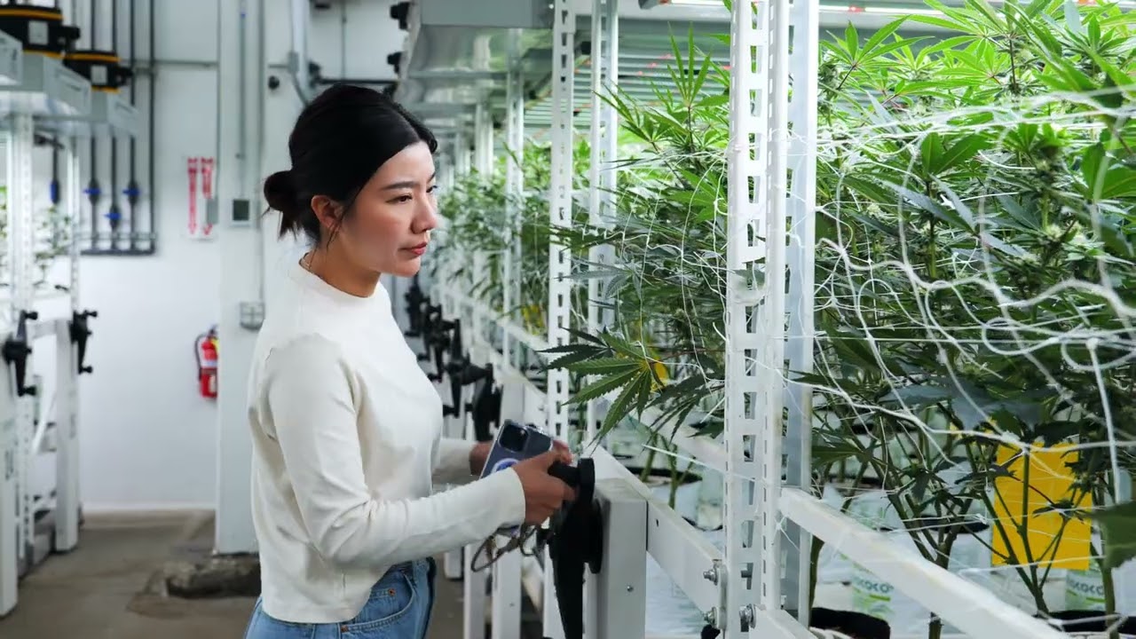 Fluence Innovator | Oakfruitland Targets Sustainability and Premium Quality Cannabis