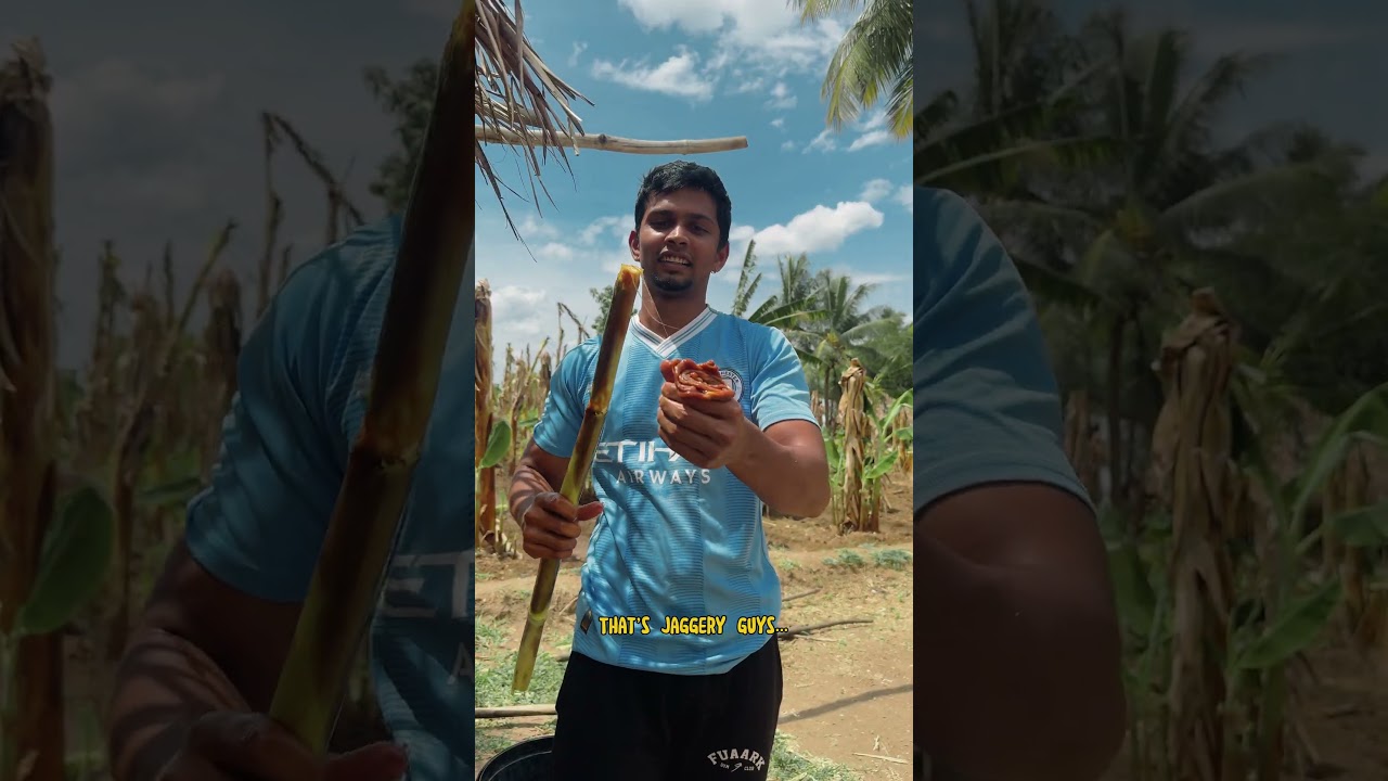 Needle 5 in Erode ❤️