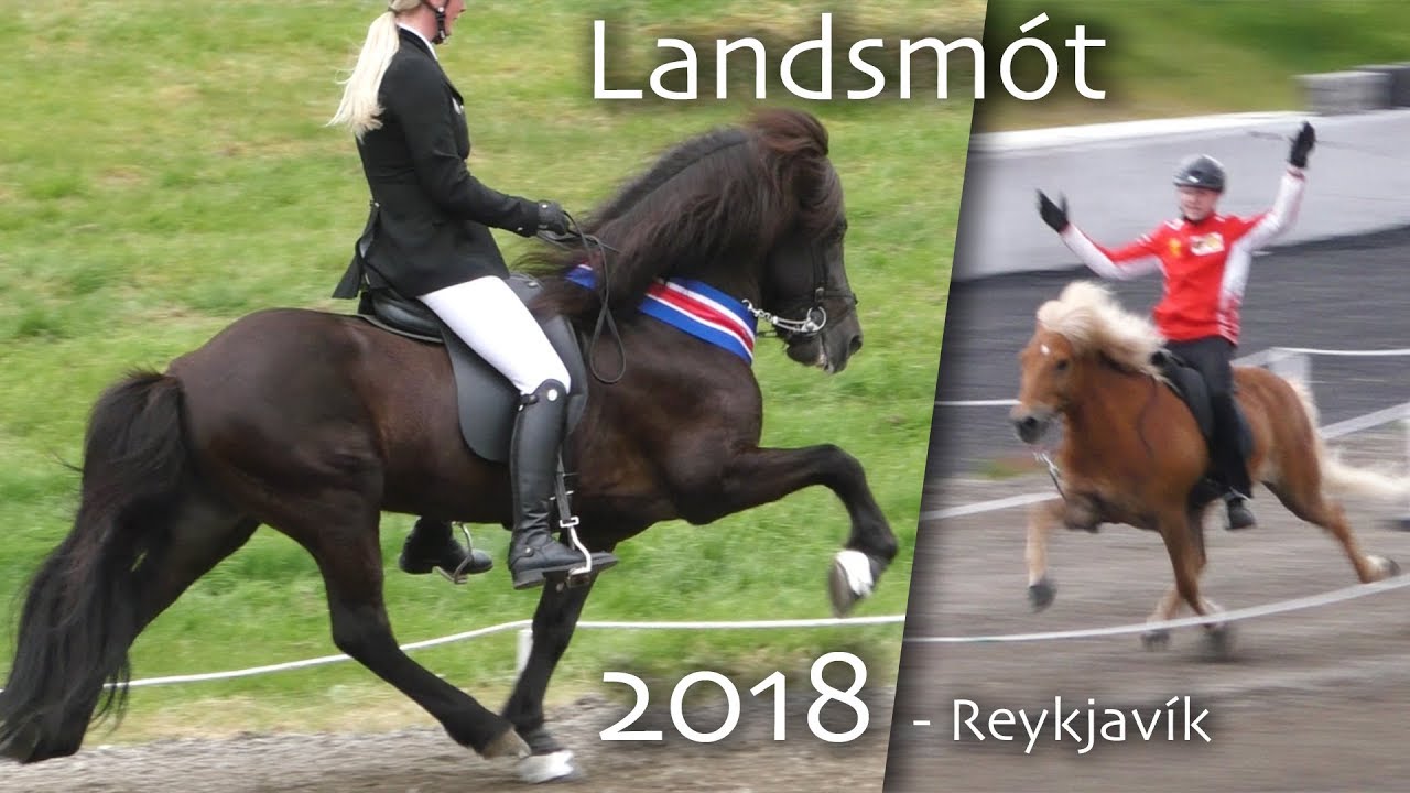 Landsmót 2018 | Janas ViLögg