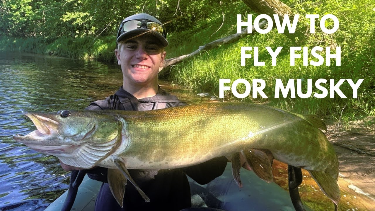 HOW TO FLY FISH FOR MUSKY