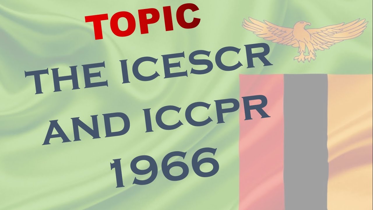 The ICCPR and ICESCR