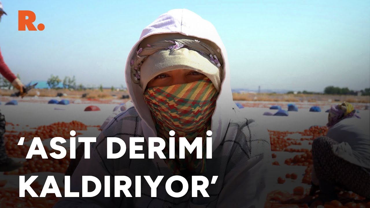 Diyarbakır sıcağında domates doğramak: Asit yakıyor