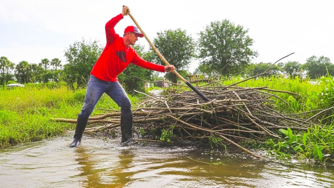A Little Action For Society​ Remove Floating Plants Flow Clogged On Massive Dam Drain After Rain