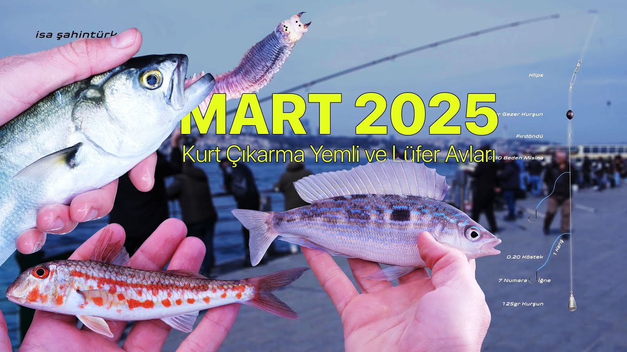 Boğazda Kurt Çıkarma, Barbun ve Lüfer Avı  |  Mart 2025