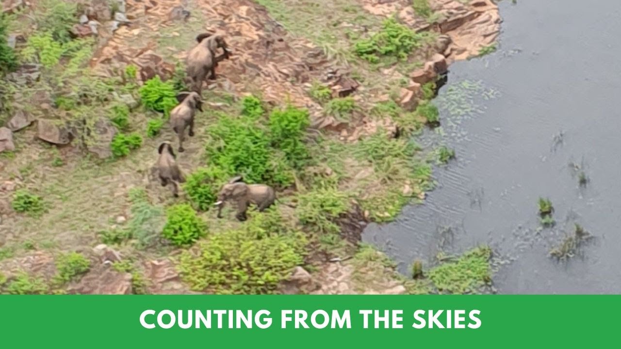 Counting From The Skies