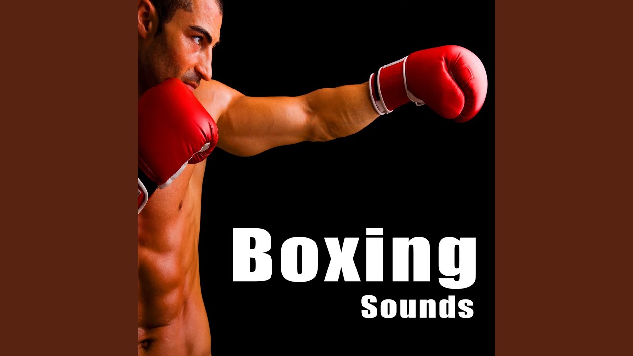 7 Boxing Punch Impacts