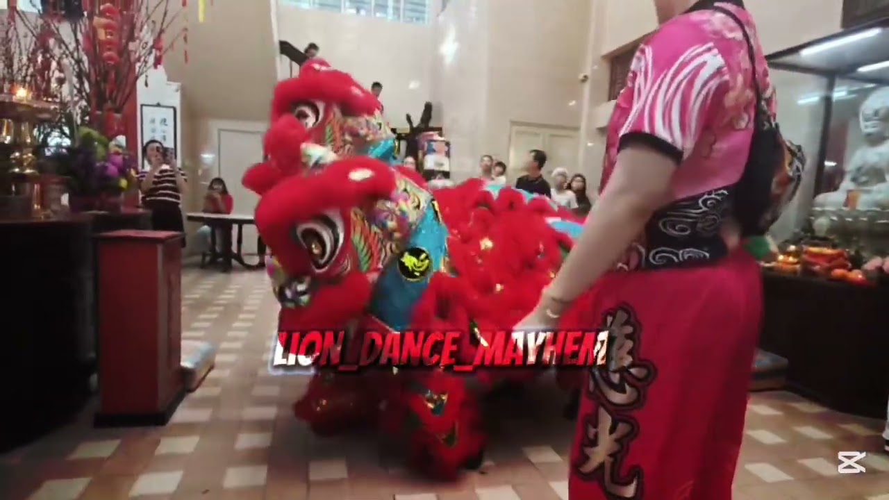 Singapore Metta School - Lion And Dragon Arrival & Cai Qing 🦁🐉