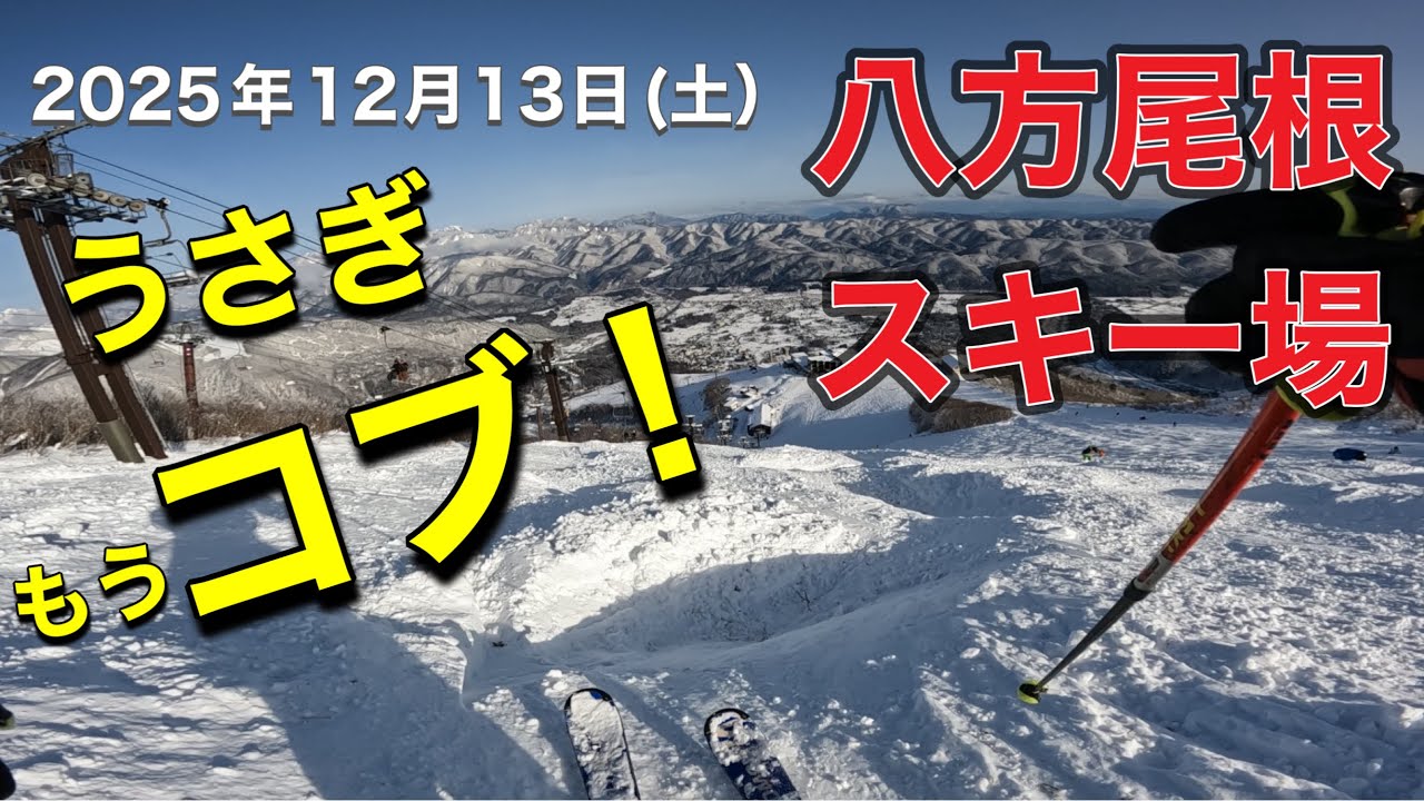 八方うさぎ、もうコブ！　2025年12月13日