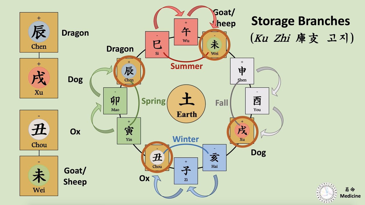 [Bazi Basic 14] Three Categories of Earthly Branches (Part 3. Storage Branches) 진술축미(辰戌丑未) 고지(庫支)