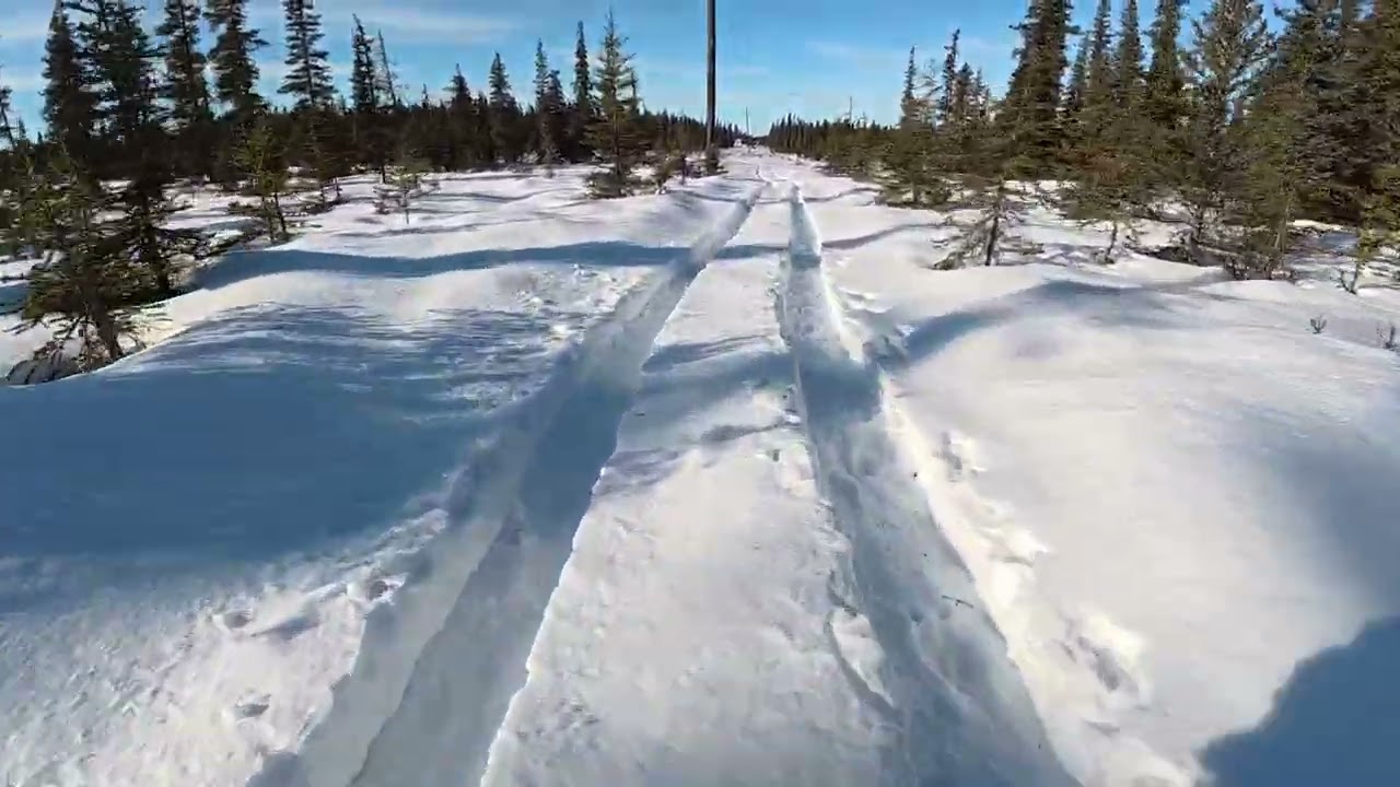 Rabbit Hunting On My 2026 Can Am Outlander Backcountry 6x6