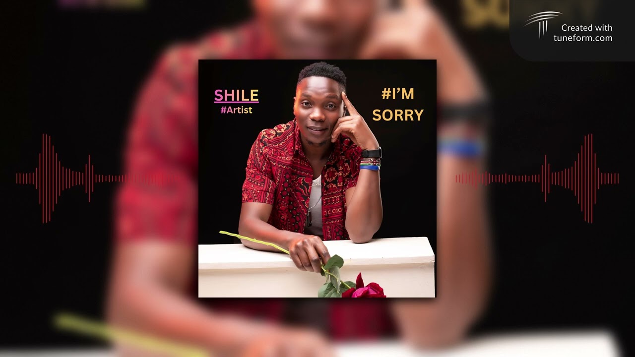 SHILE - I'M SORRY