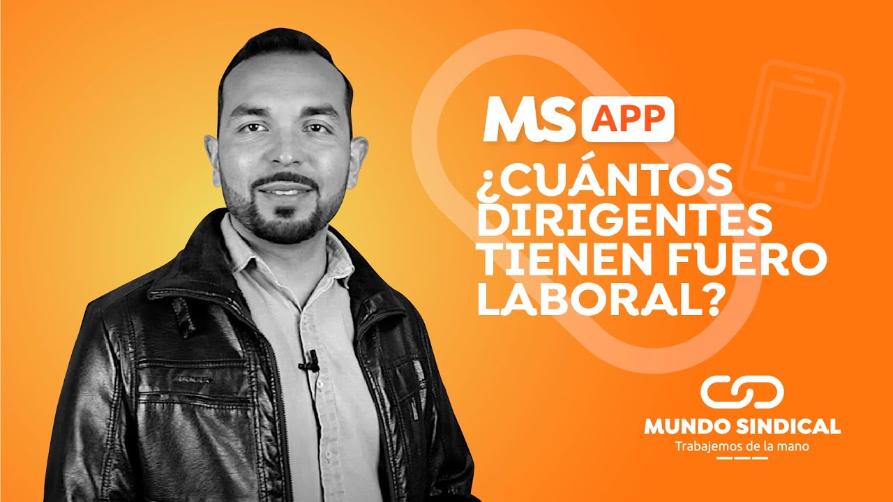 MS App #35: ¿Cuantos dirigentes tienen fuero laboral ?
